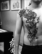 胸脯国画乌鸦树木飞鸟纹身 水墨纹身 黑白纹身